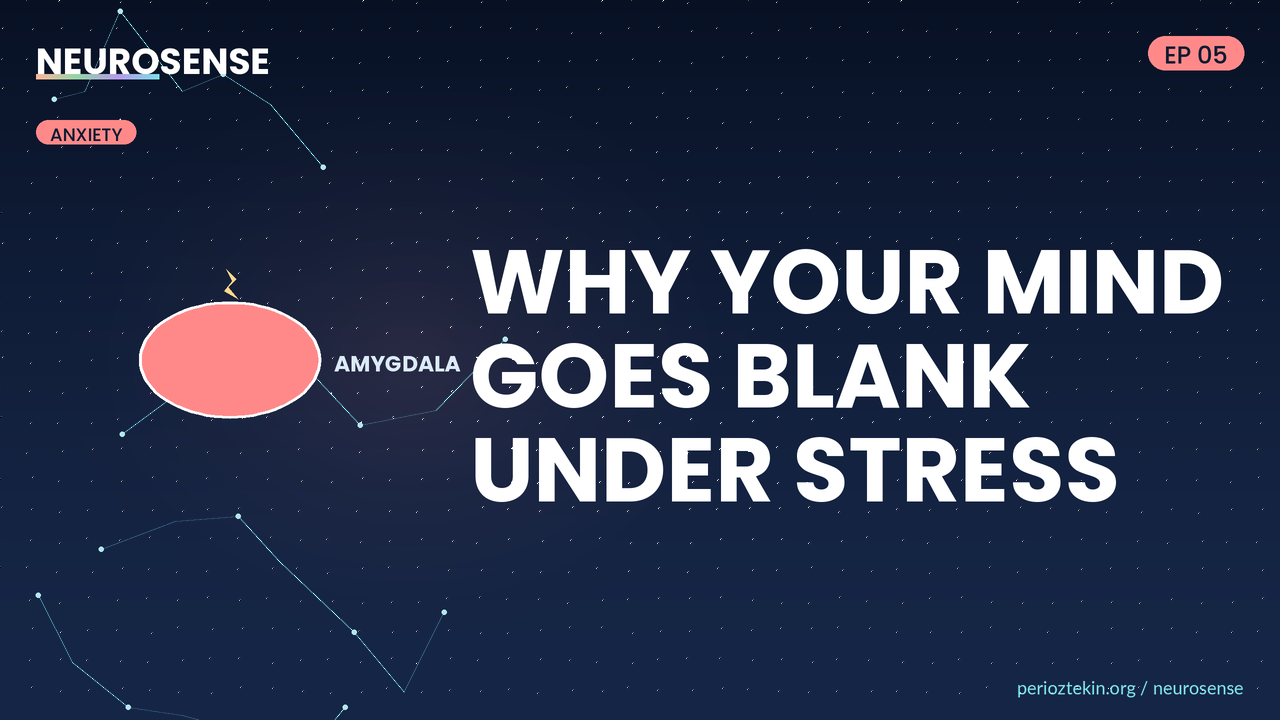 Why Your Mind Goes Blank Under Stress