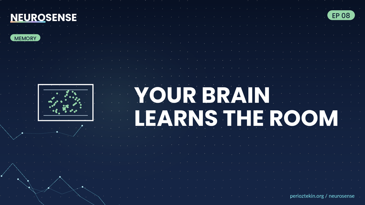 Your Brain Learns the Room