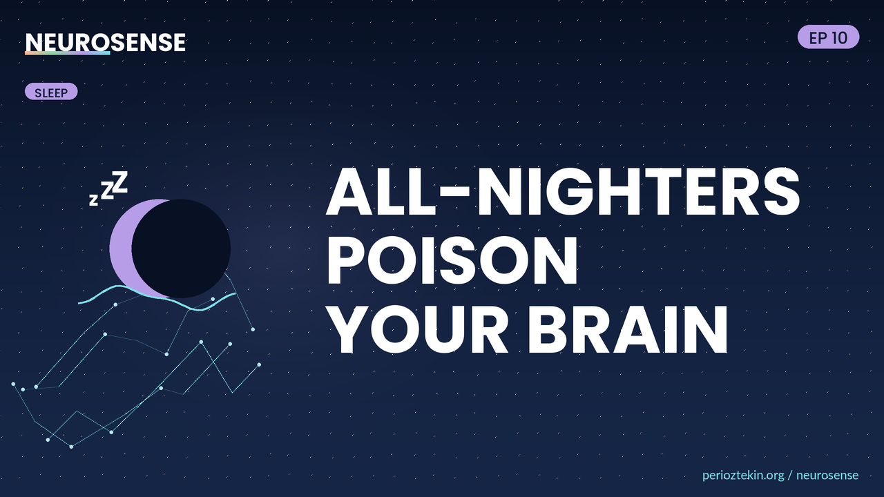All-Nighters Poison Your Brain