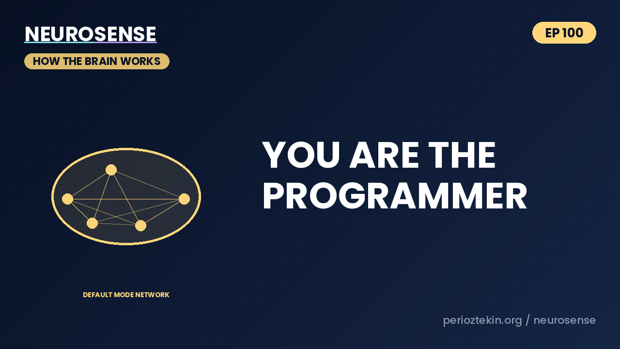You Are the Programmer