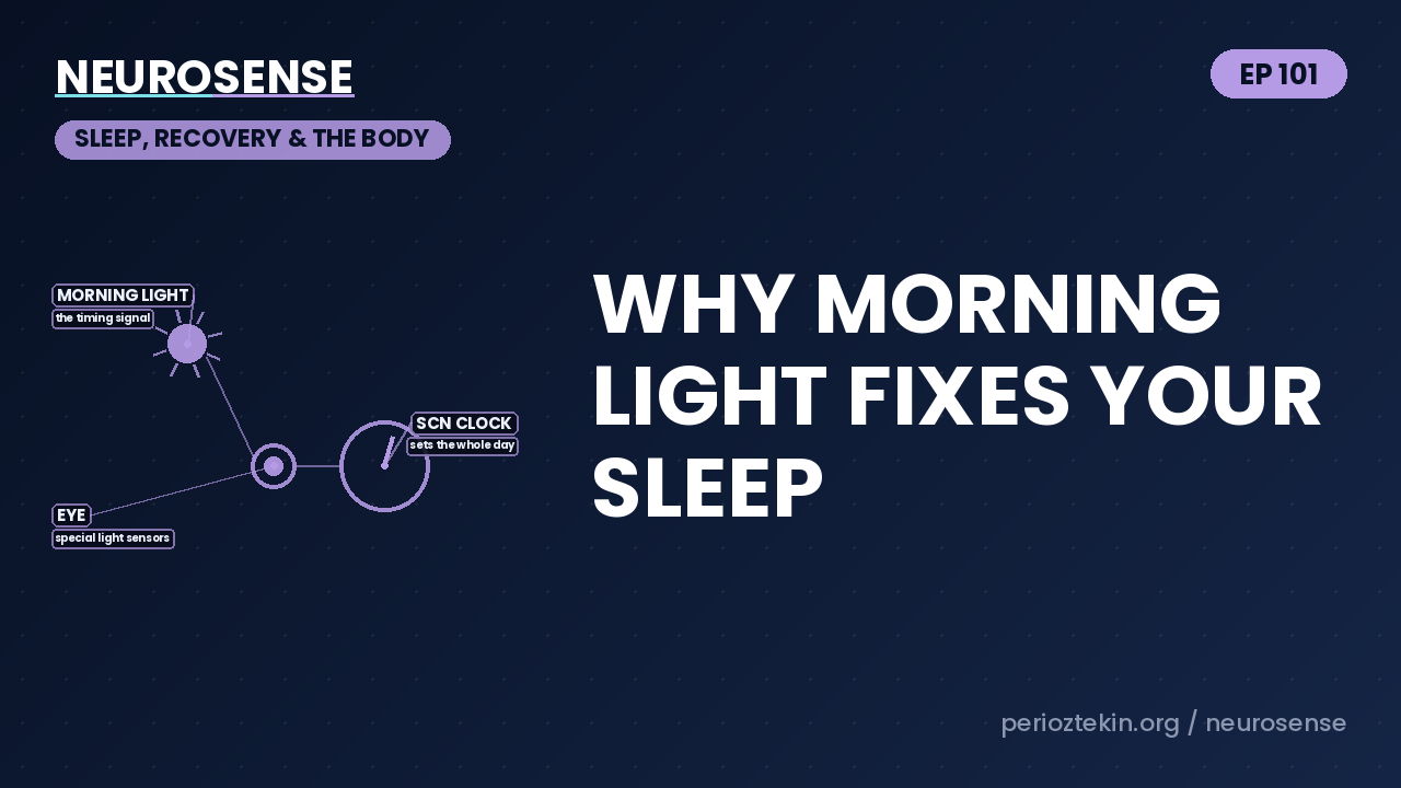 Why Morning Light Fixes Your Sleep