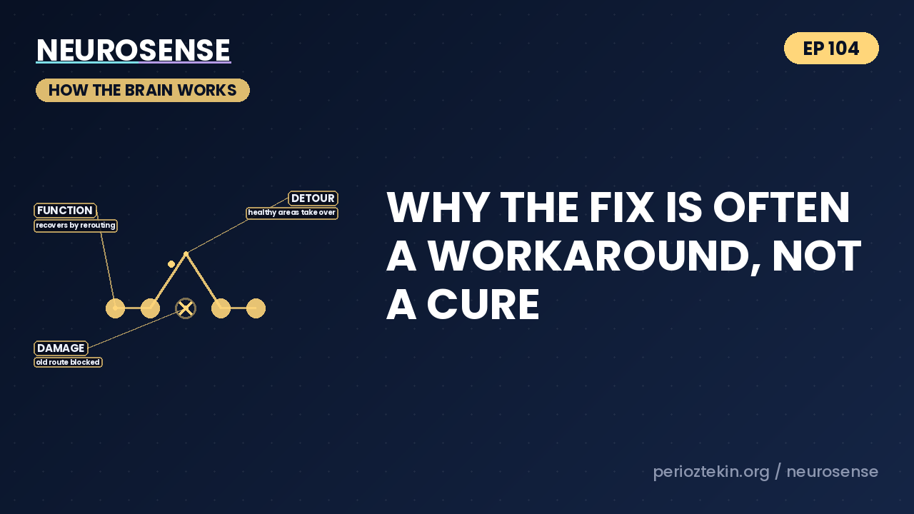 Why the Fix Is Often a Workaround, Not a Cure