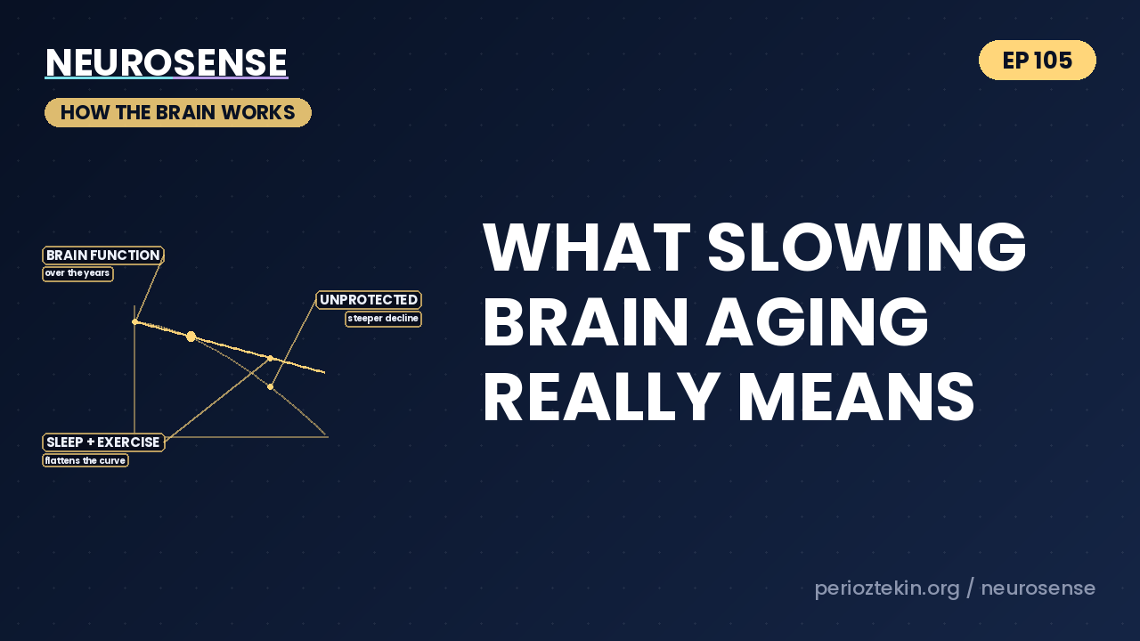 What Slowing Brain Aging Really Means