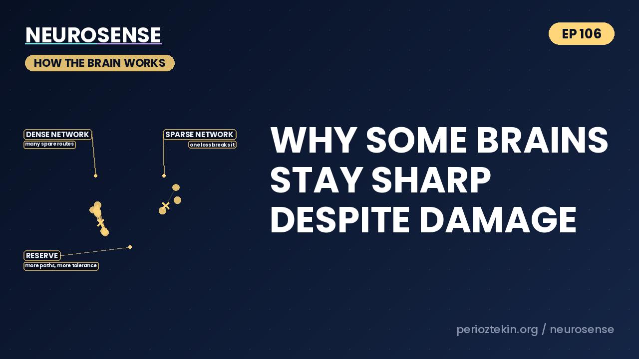 Why Some Brains Stay Sharp Despite Damage