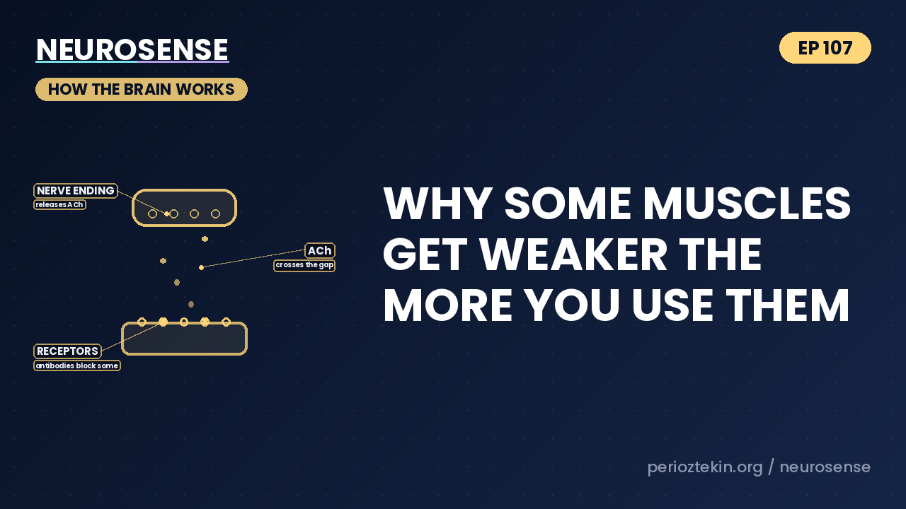 Why Some Muscles Get Weaker the More You Use Them