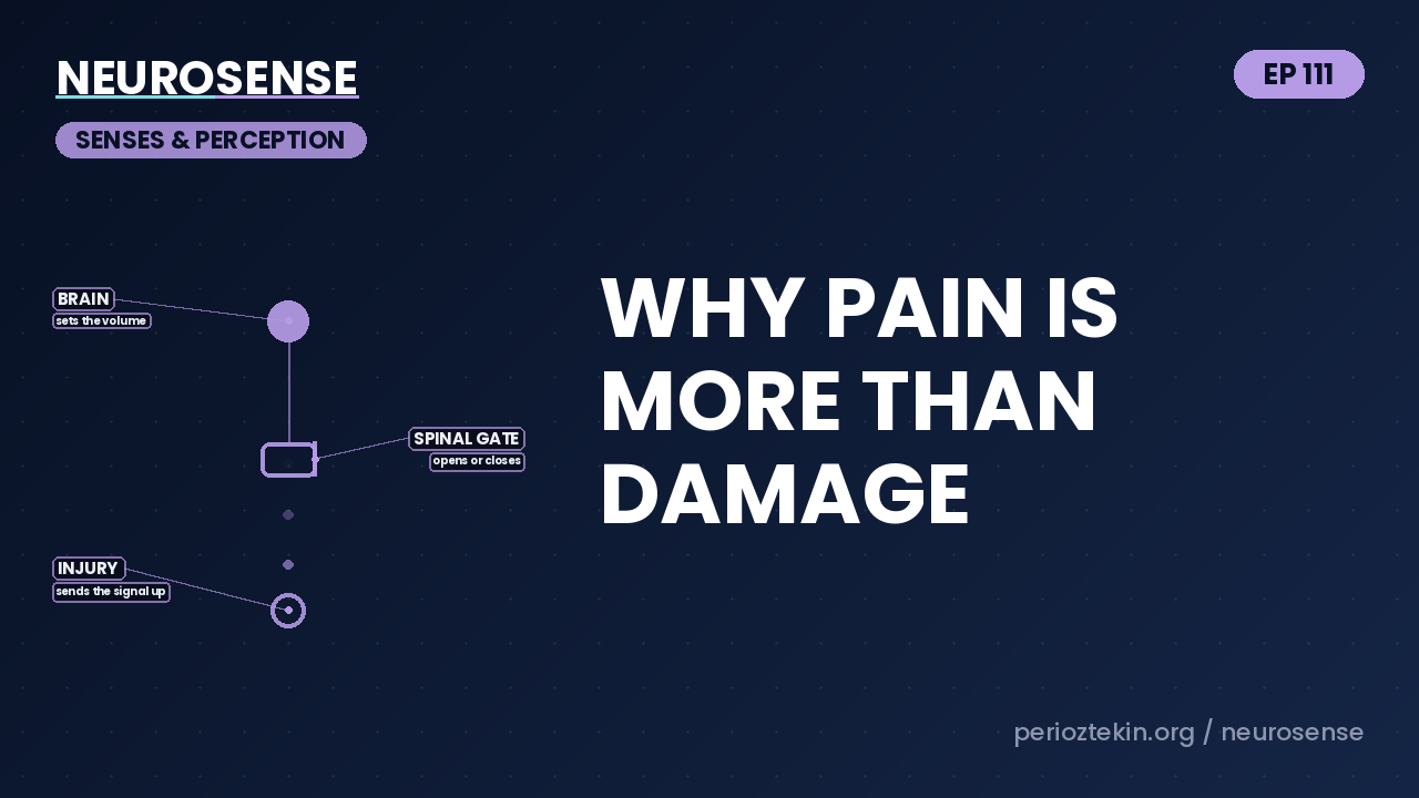 Why Pain Is More Than Damage