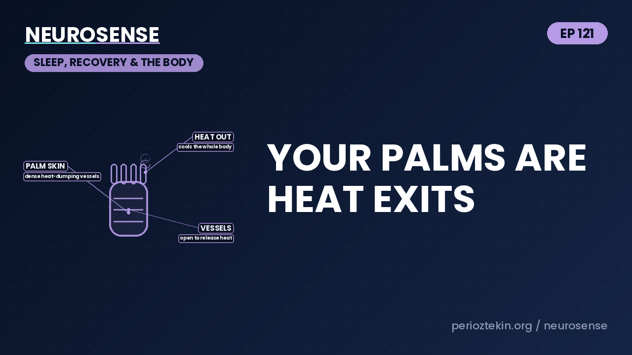 Your Palms Are Heat Exits