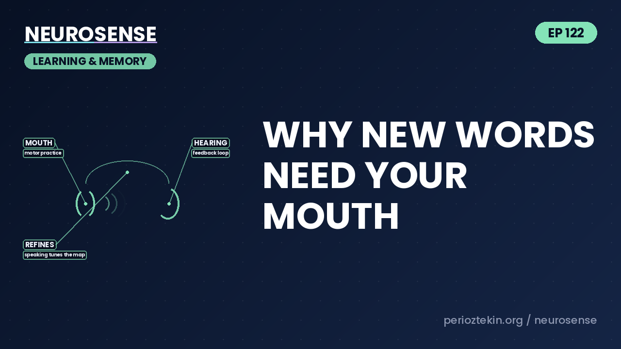 Why New Words Need Your Mouth