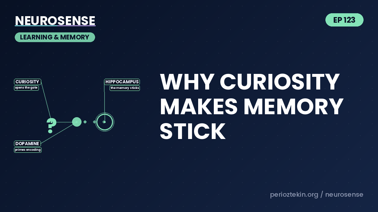 Why Curiosity Makes Memory Stick