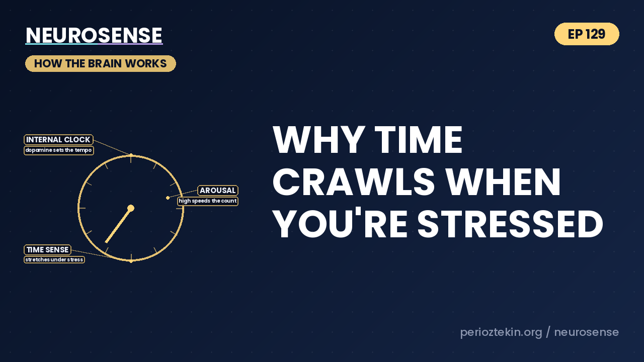 Why Time Crawls When You're Stressed