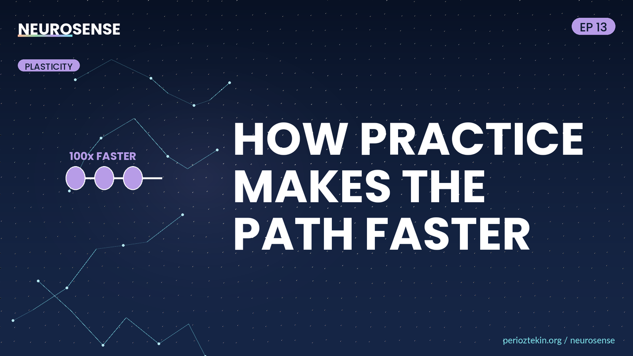 How Practice Wires Your Brain Faster