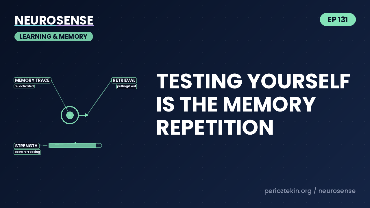 Testing Yourself Is the Memory Repetition
