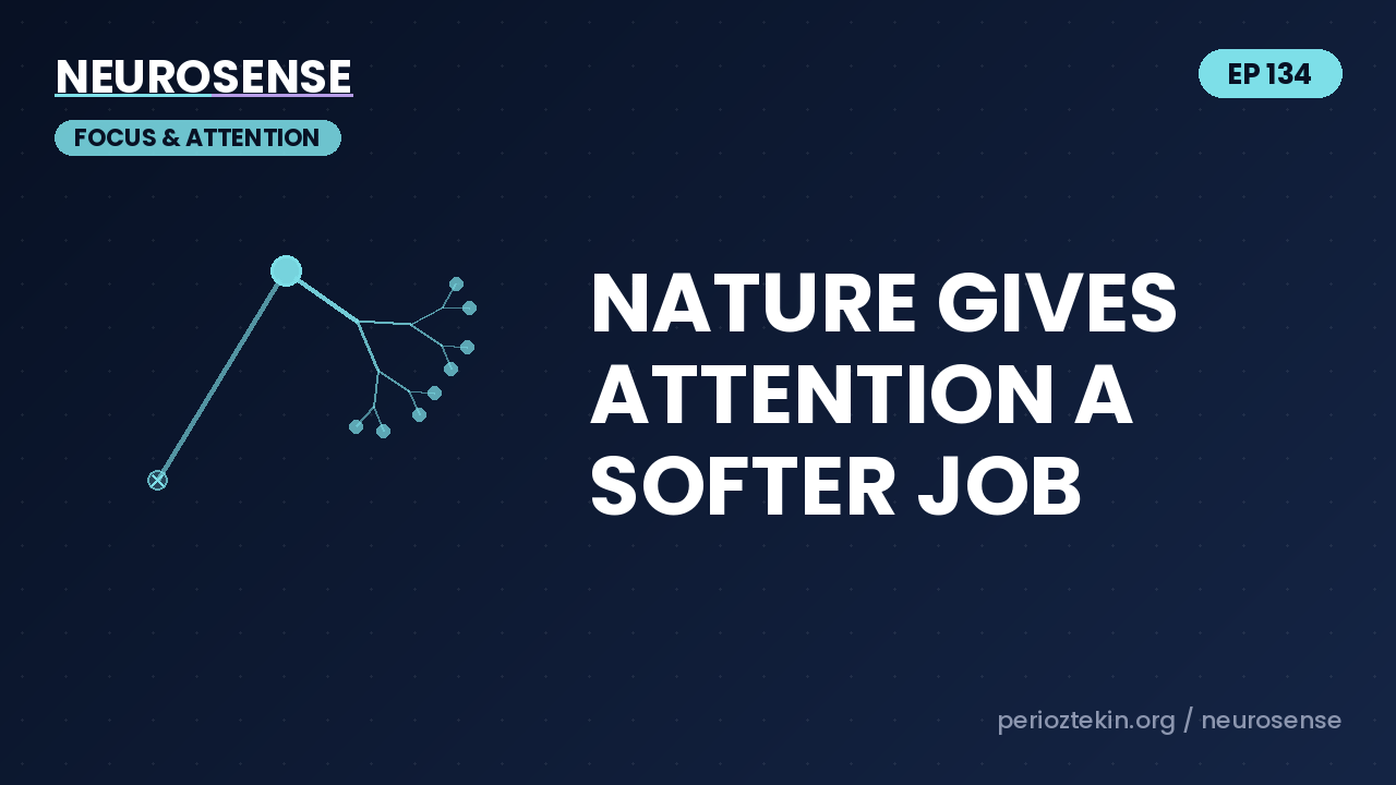 Nature Gives Attention a Softer Job
