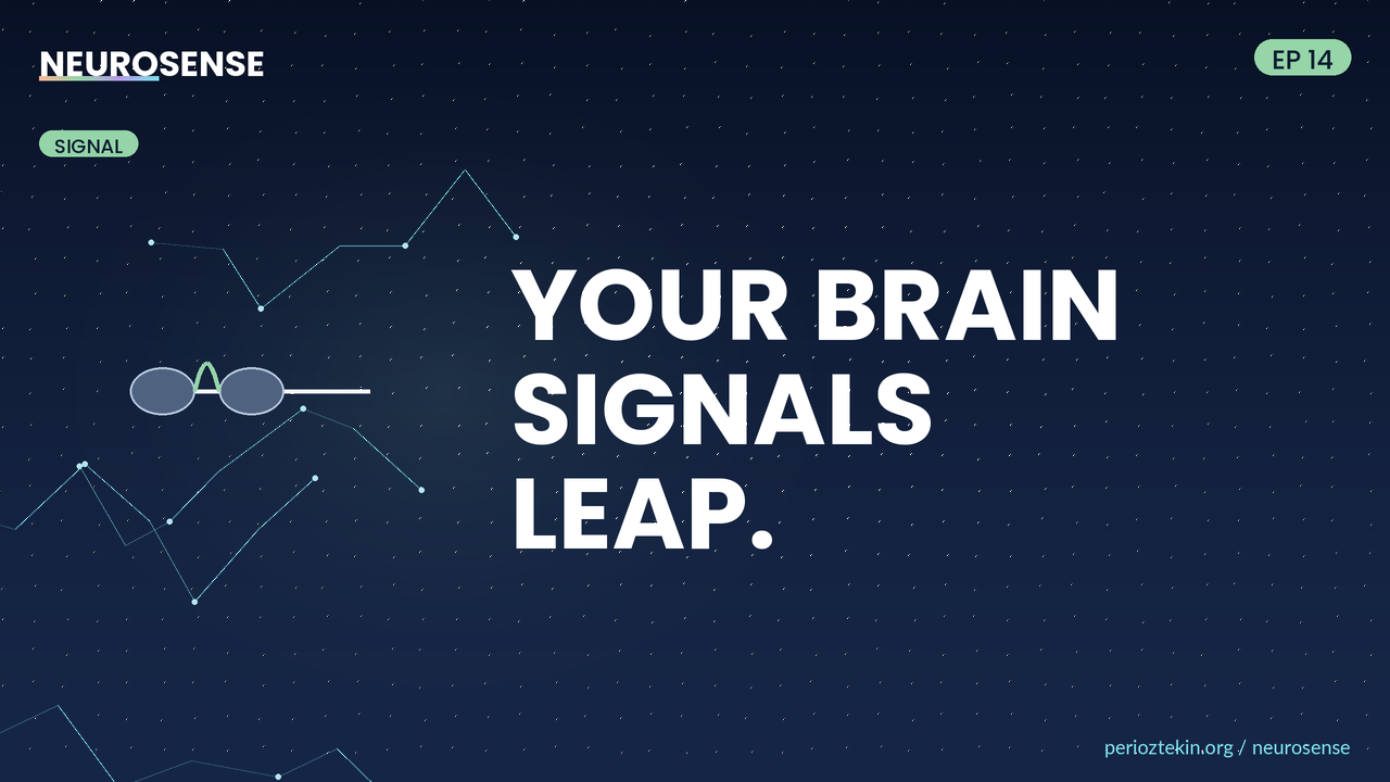 Your Brain Cheats Physics to Be Fast