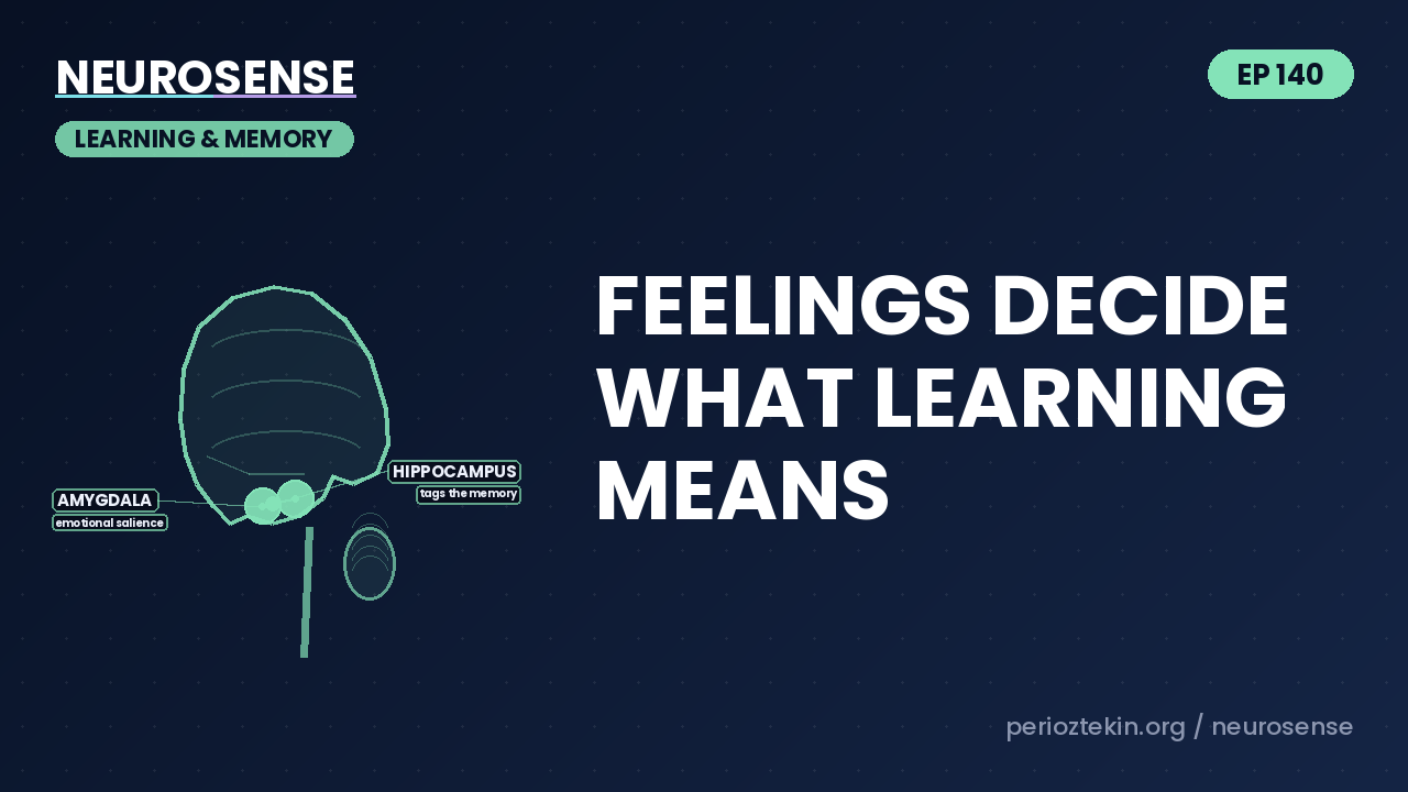 Feelings Decide What Learning Means