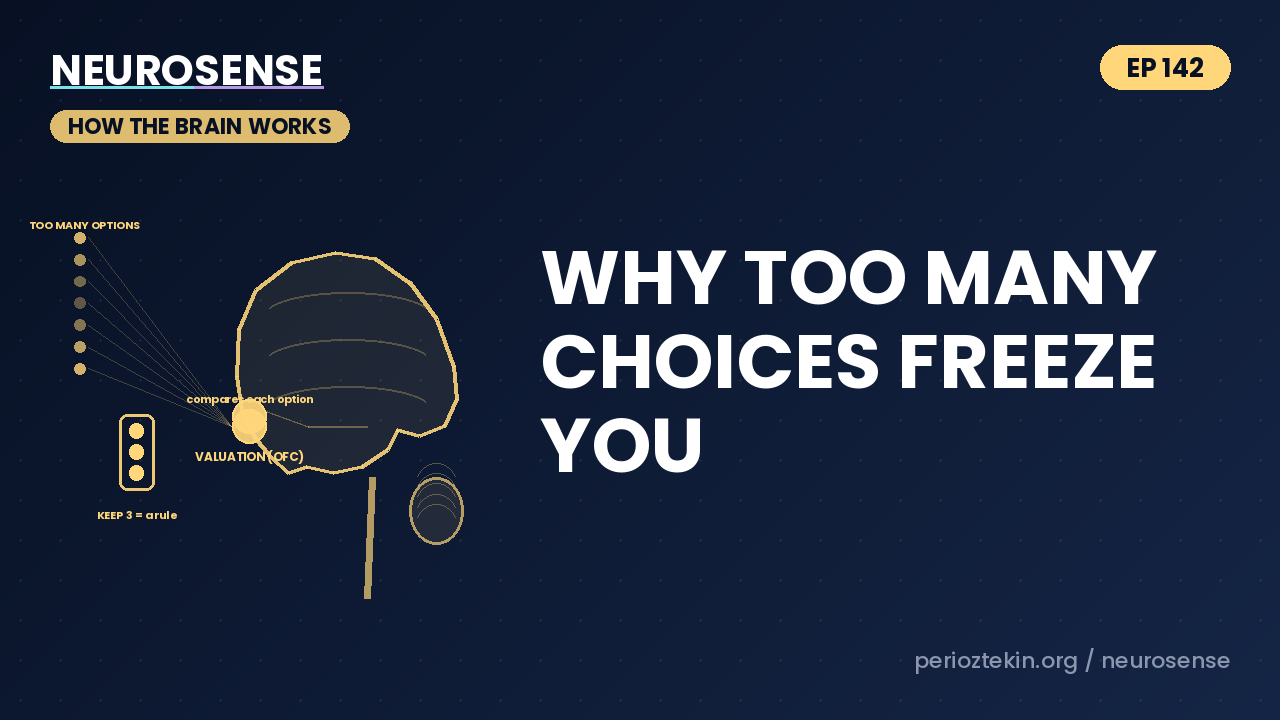 Why Too Many Choices Freeze You
