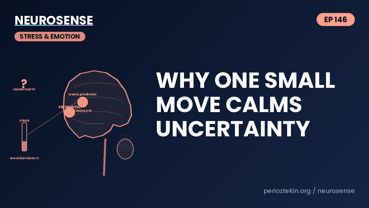 Why One Small Move Calms Uncertainty