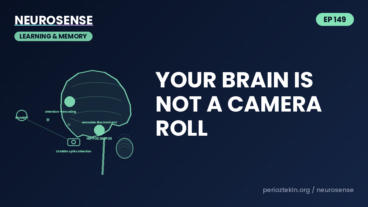Your Brain Is Not a Camera Roll
