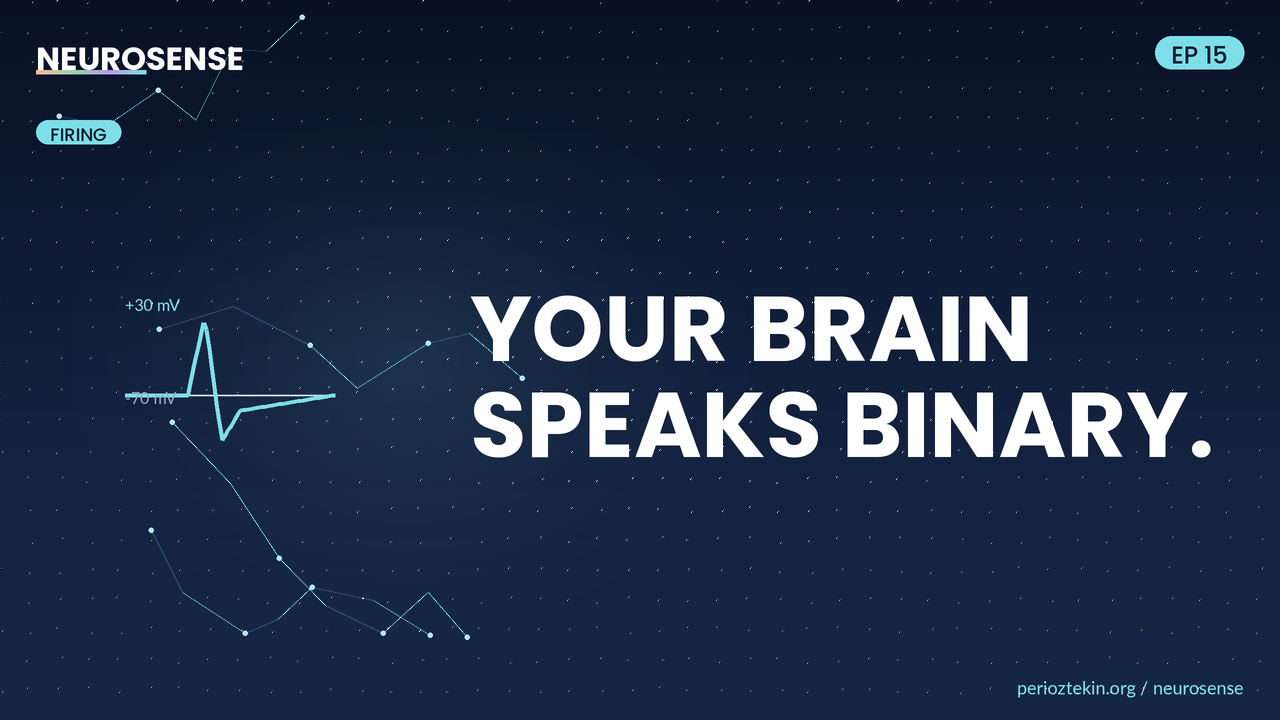 Your Brain Has No Volume Knob