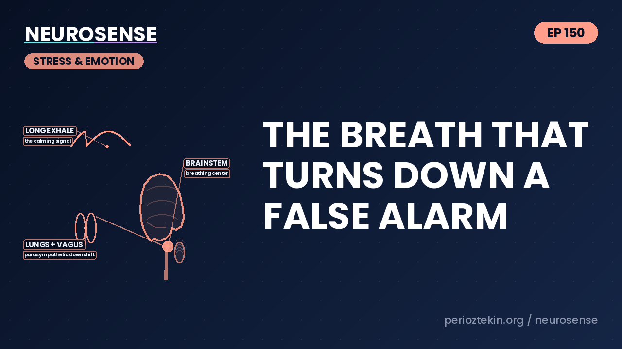 The Breath That Turns Down a False Alarm