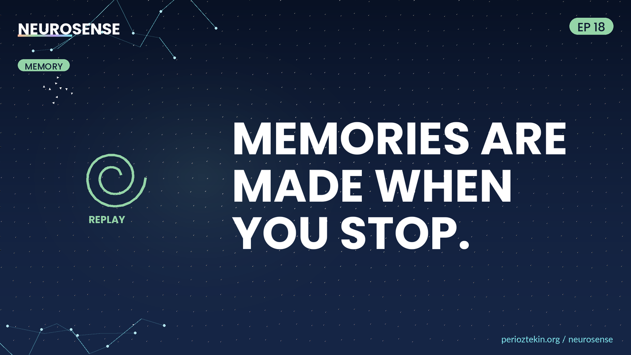 Memories Are Made While You Sit Still