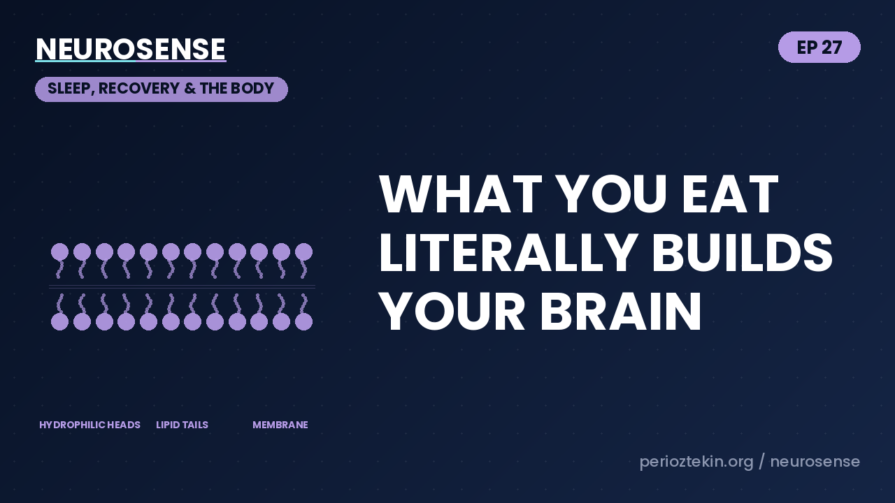 What You Eat Literally Builds Your Brain