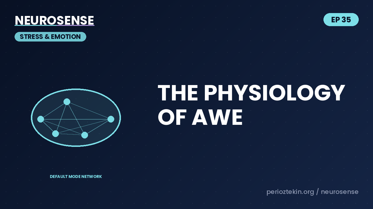 The Science of Awe: How to Quiet a Spiraling Brain