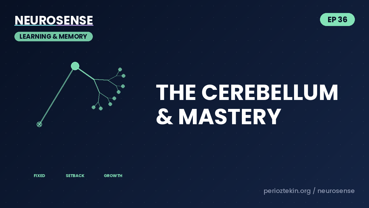 Why Practice Is About Thinking LESS, Not More