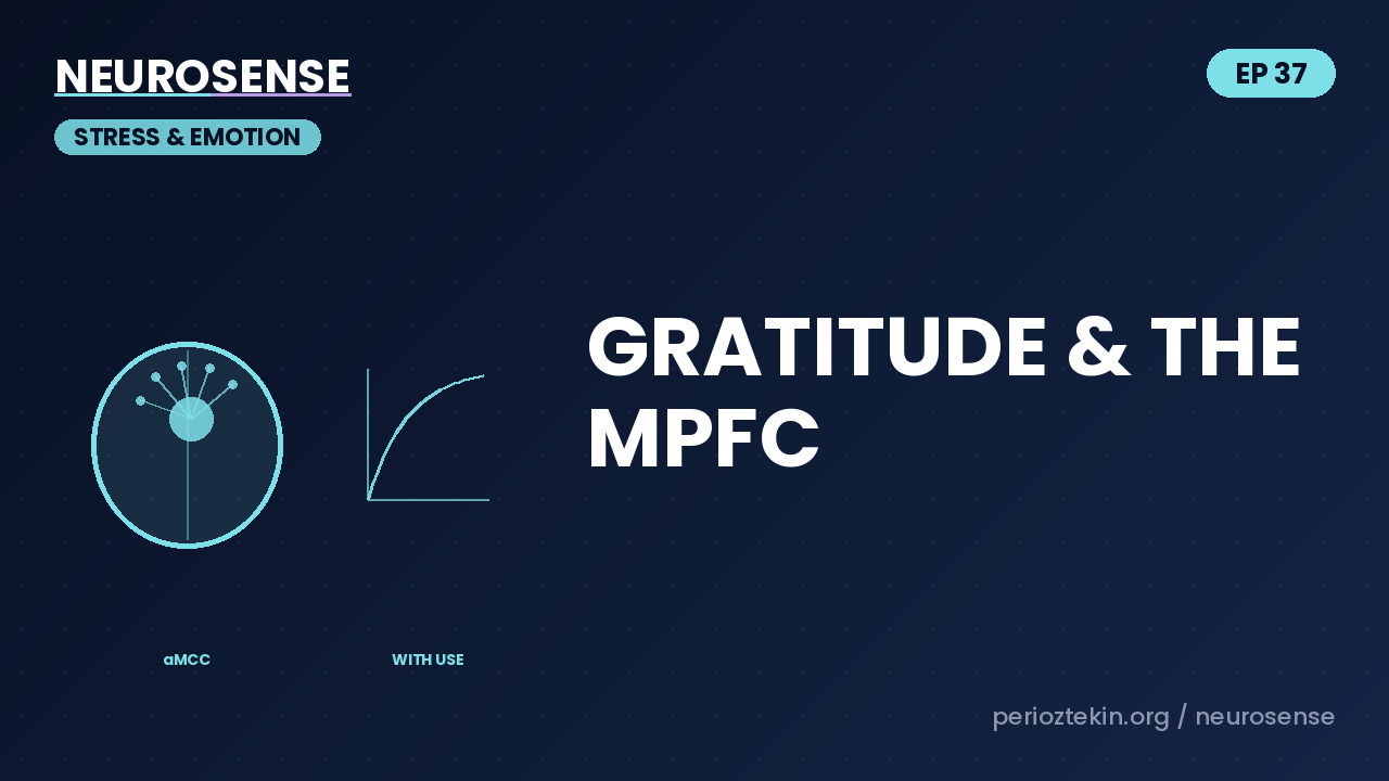 The Right Way to Rewire Your Brain With Gratitude