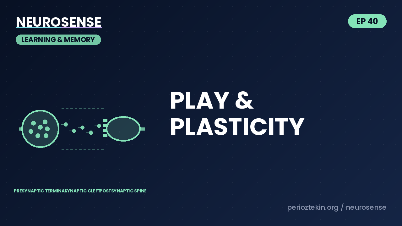 Why Play Wires Your Brain Faster