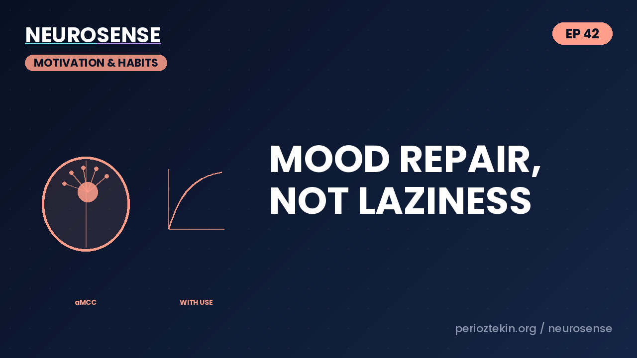 Mood Repair, Not Laziness