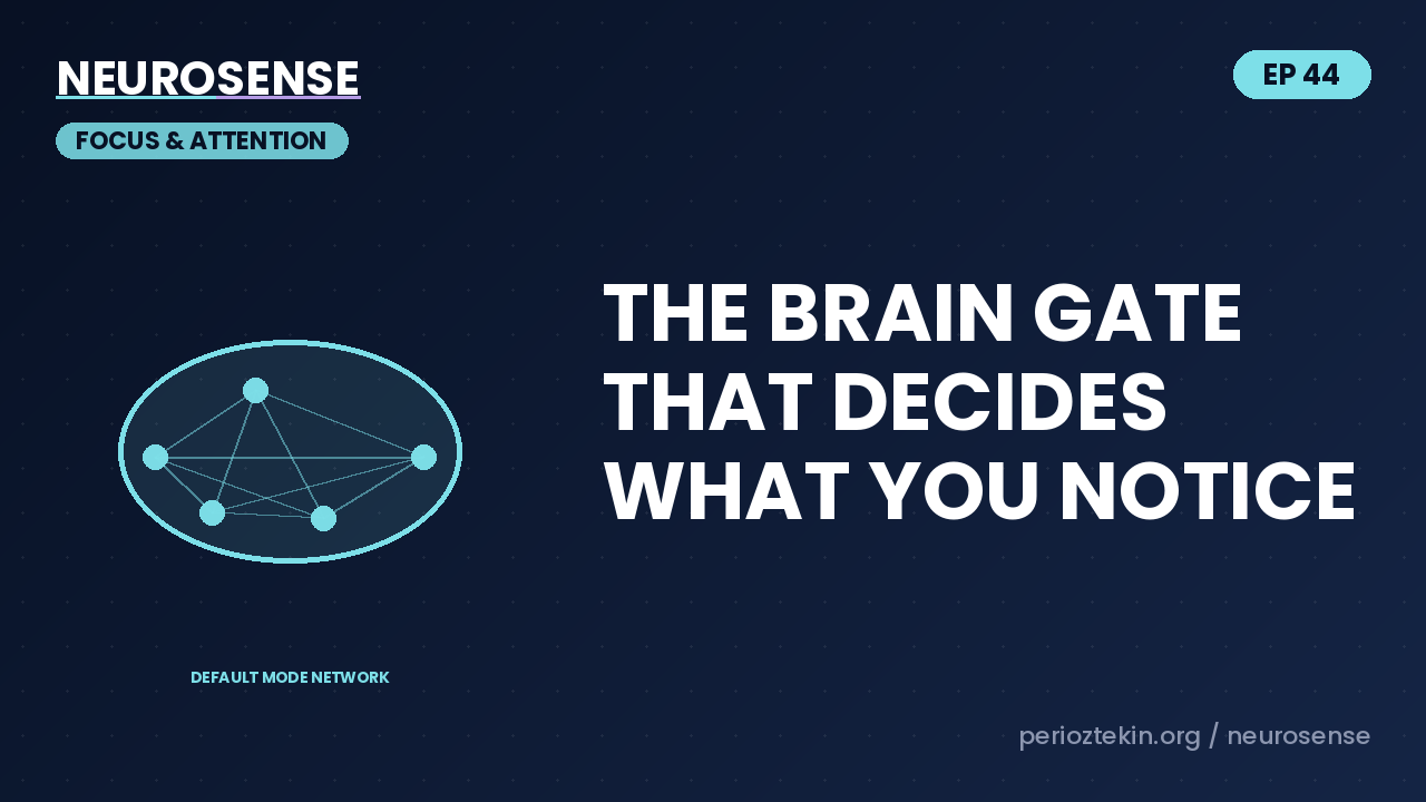 The Brain Gate That Decides What You Notice