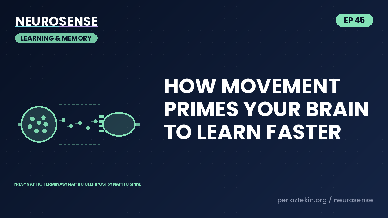 How Movement Primes Your Brain To Learn Faster