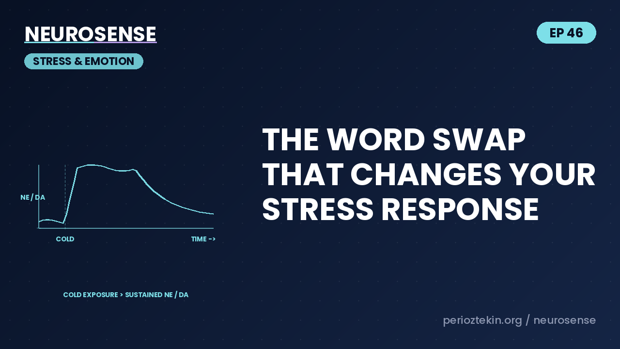 The Word Swap That Changes Your Stress Response