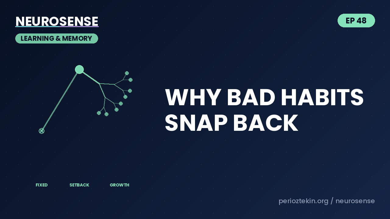 Why Bad Habits Snap Back