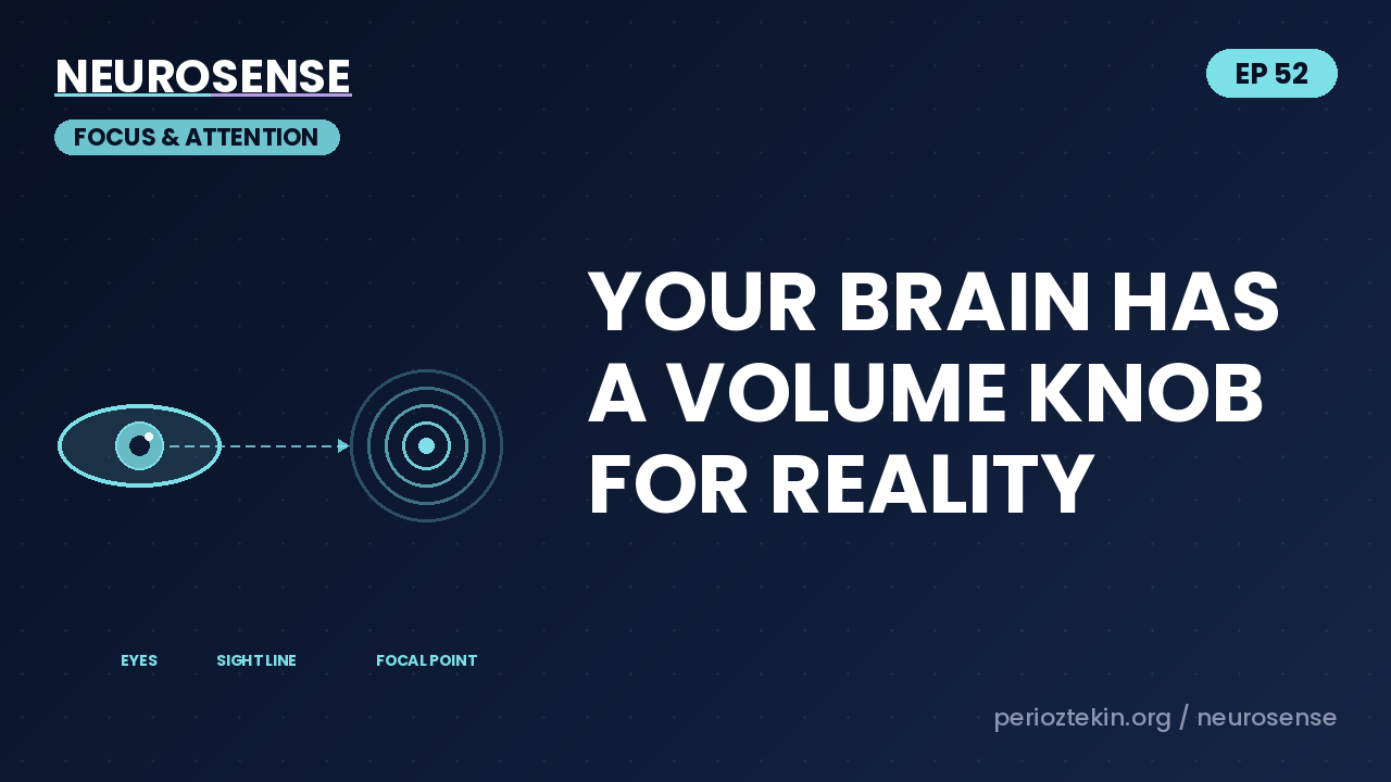 Your Brain Has a Volume Knob for Reality