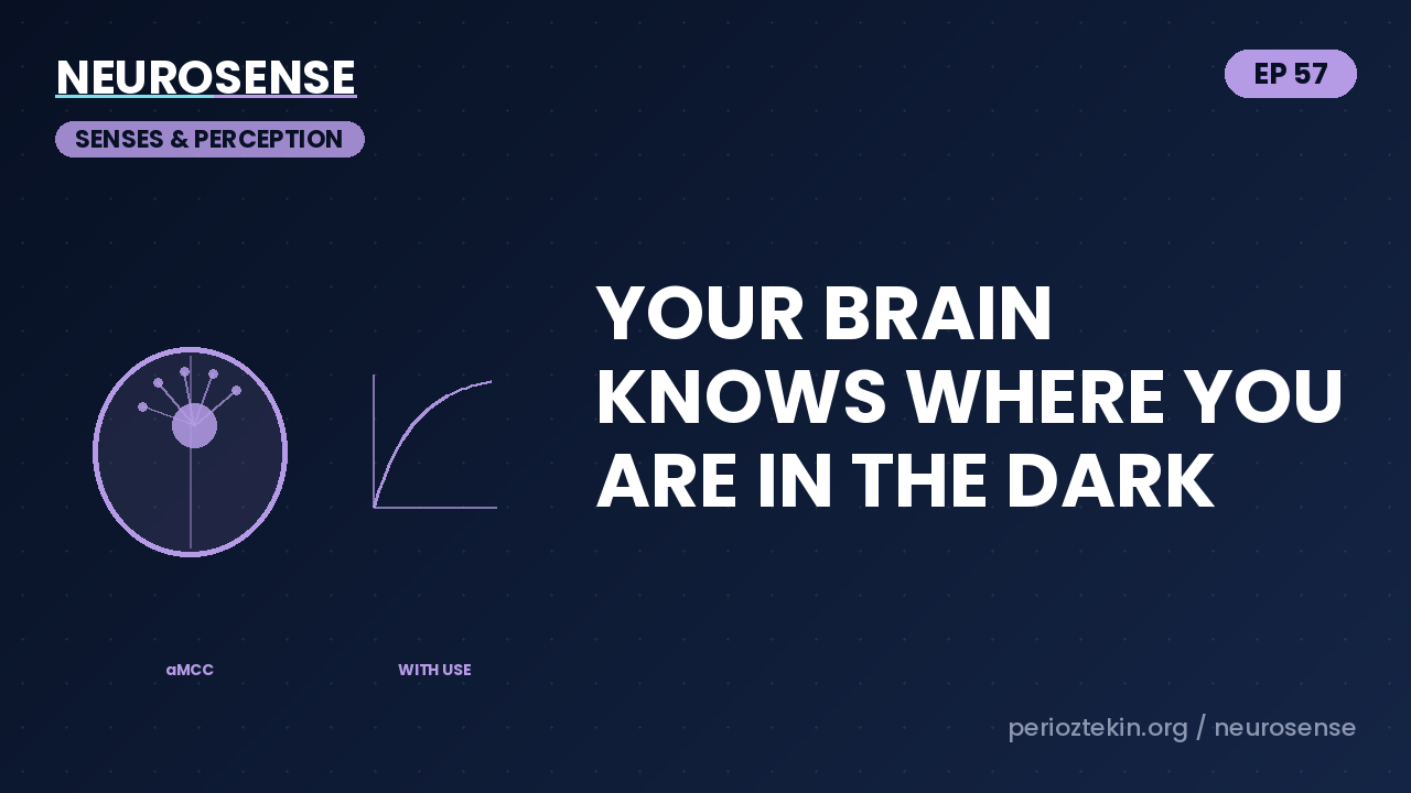 The Sixth Sense You Use Every Second