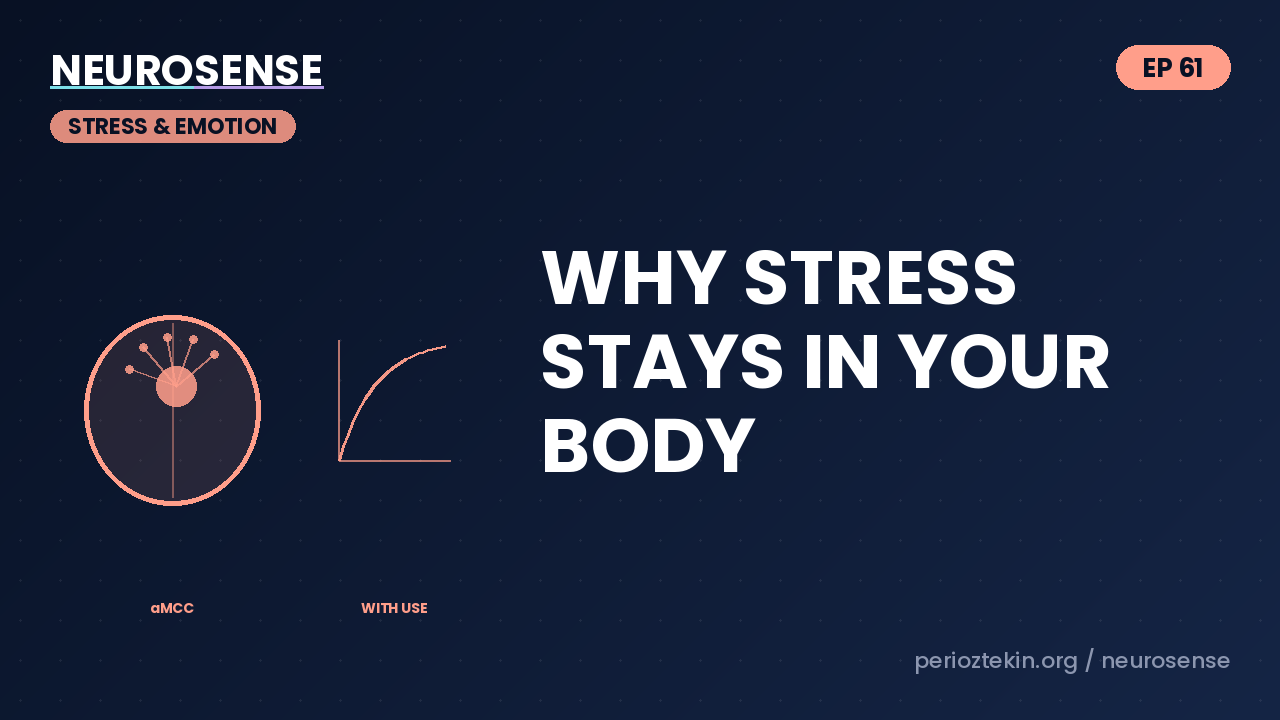 Why Stress Stays In Your Body