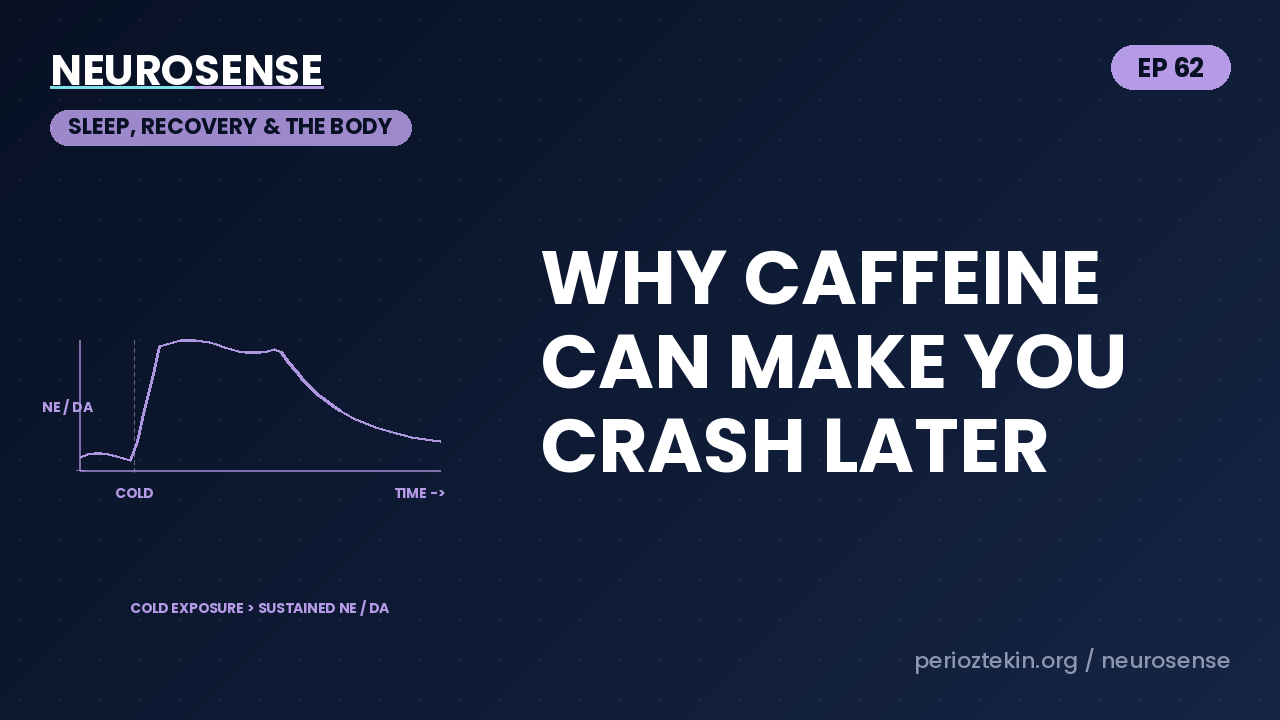 Why Caffeine Can Make You Crash Later
