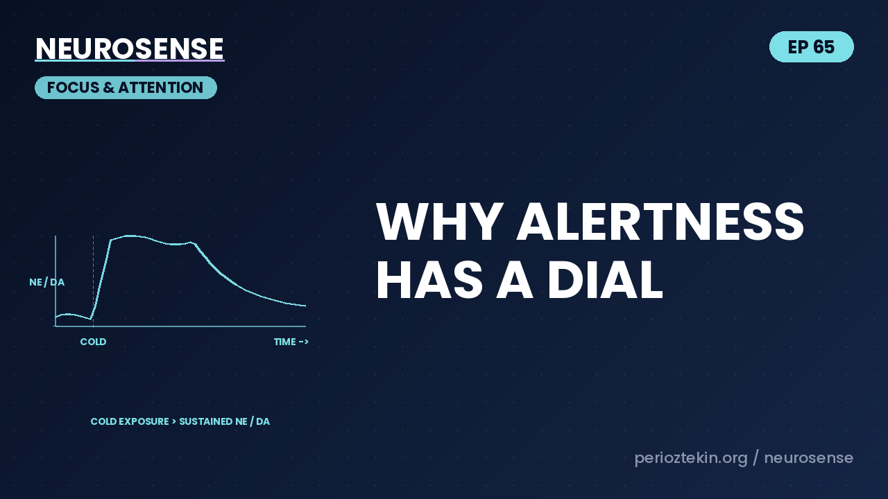 Why Alertness Has a Dial