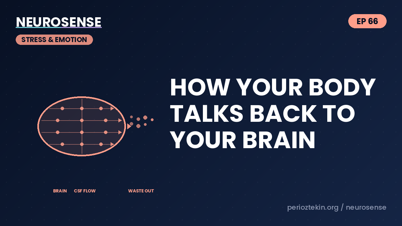 How Your Body Talks Back to Your Brain