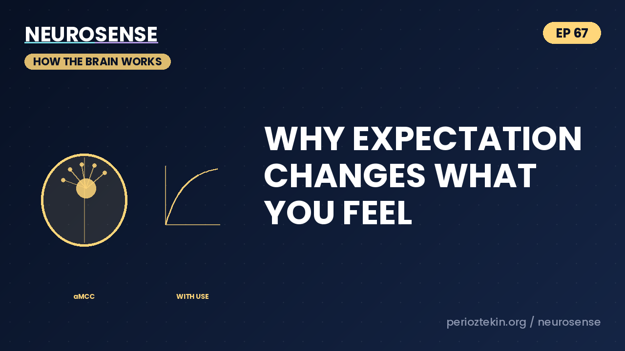Why Expectation Changes What You Feel