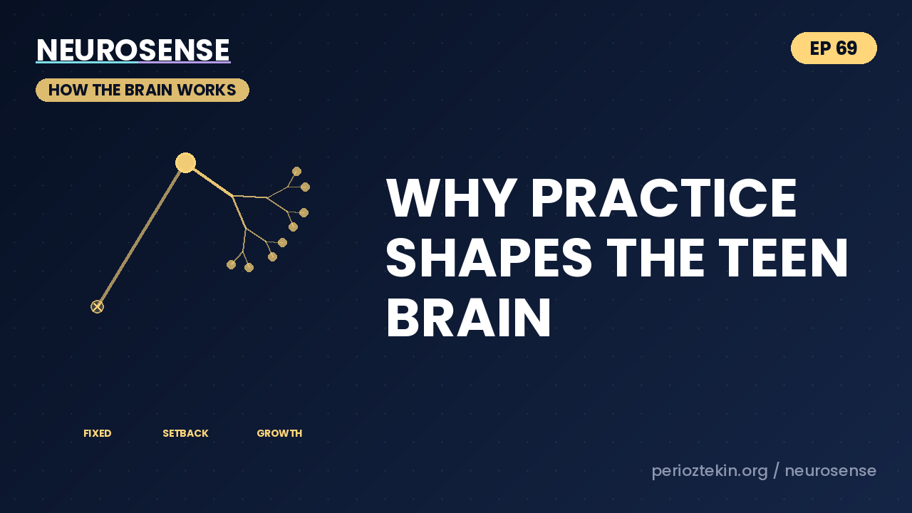 Why Practice Shapes the Teen Brain