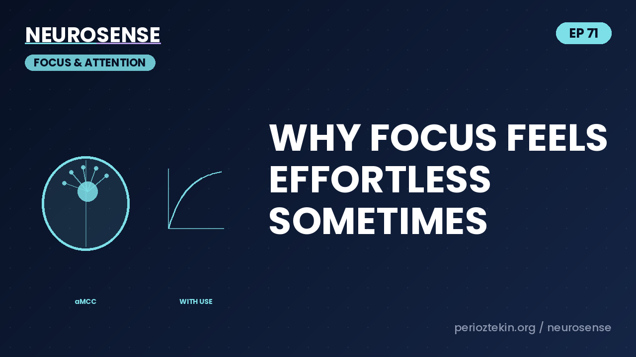 Why Focus Feels Effortless Sometimes