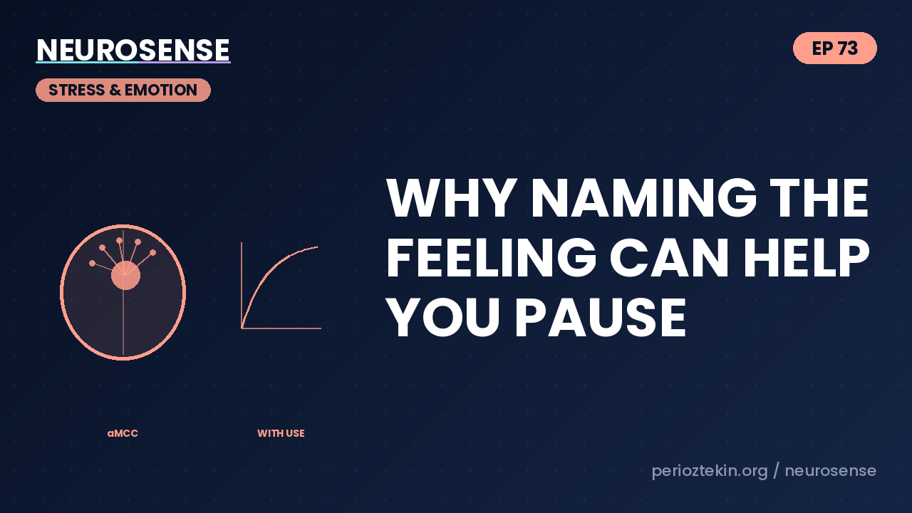 Why Naming the Feeling Can Help You Pause