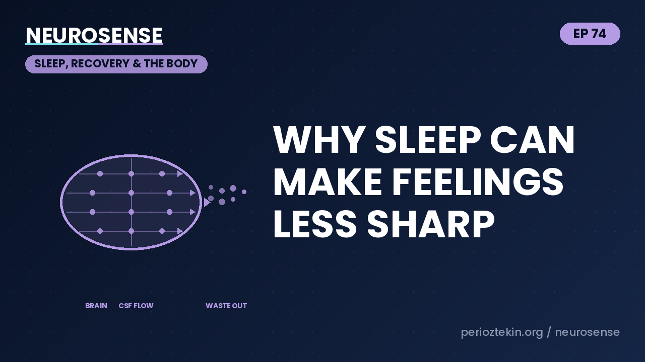 Why Sleep Can Make Feelings Less Sharp