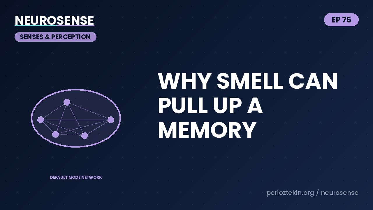 Why Smell Can Pull Up a Memory