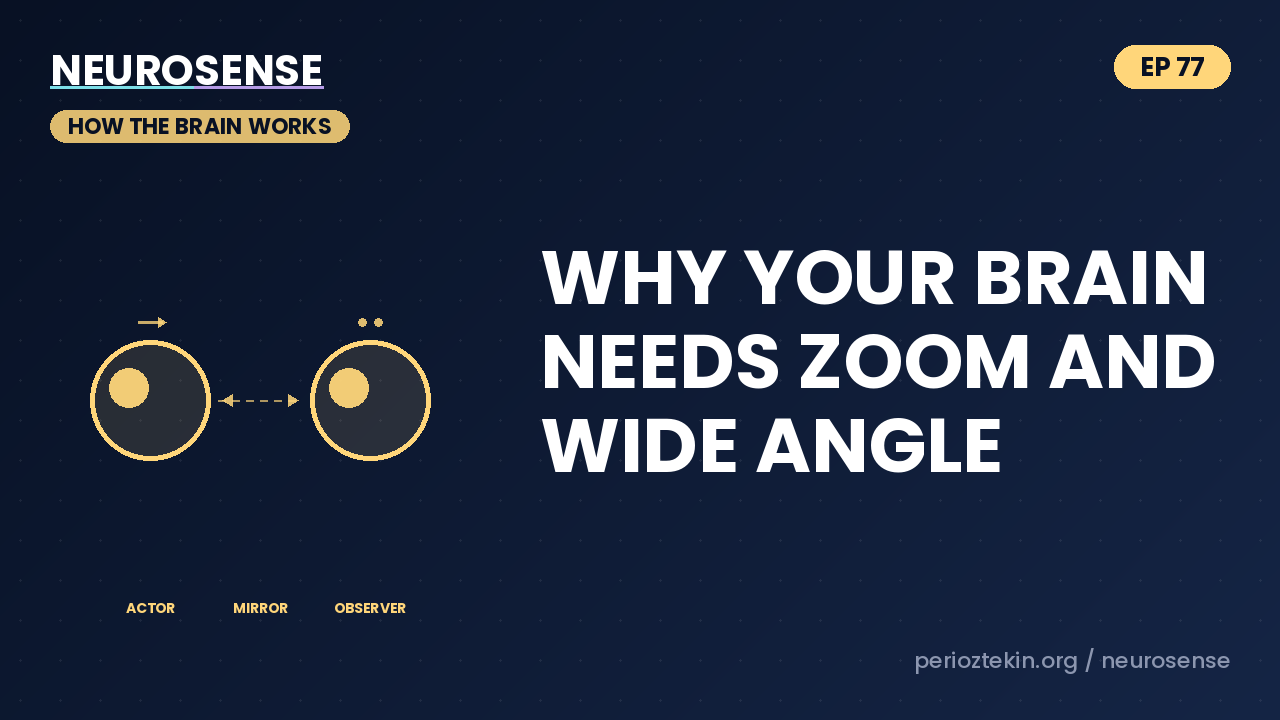 Why Your Brain Needs Zoom and Wide Angle