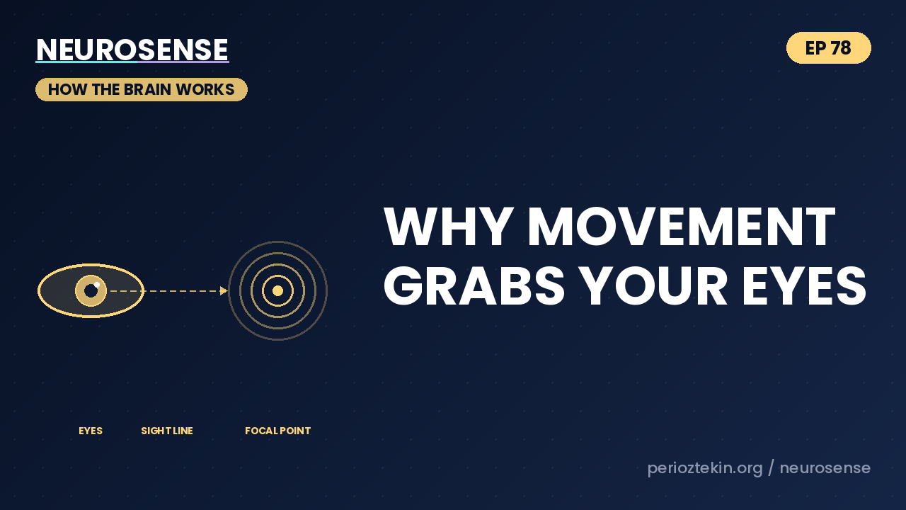 Why Movement Grabs Your Eyes