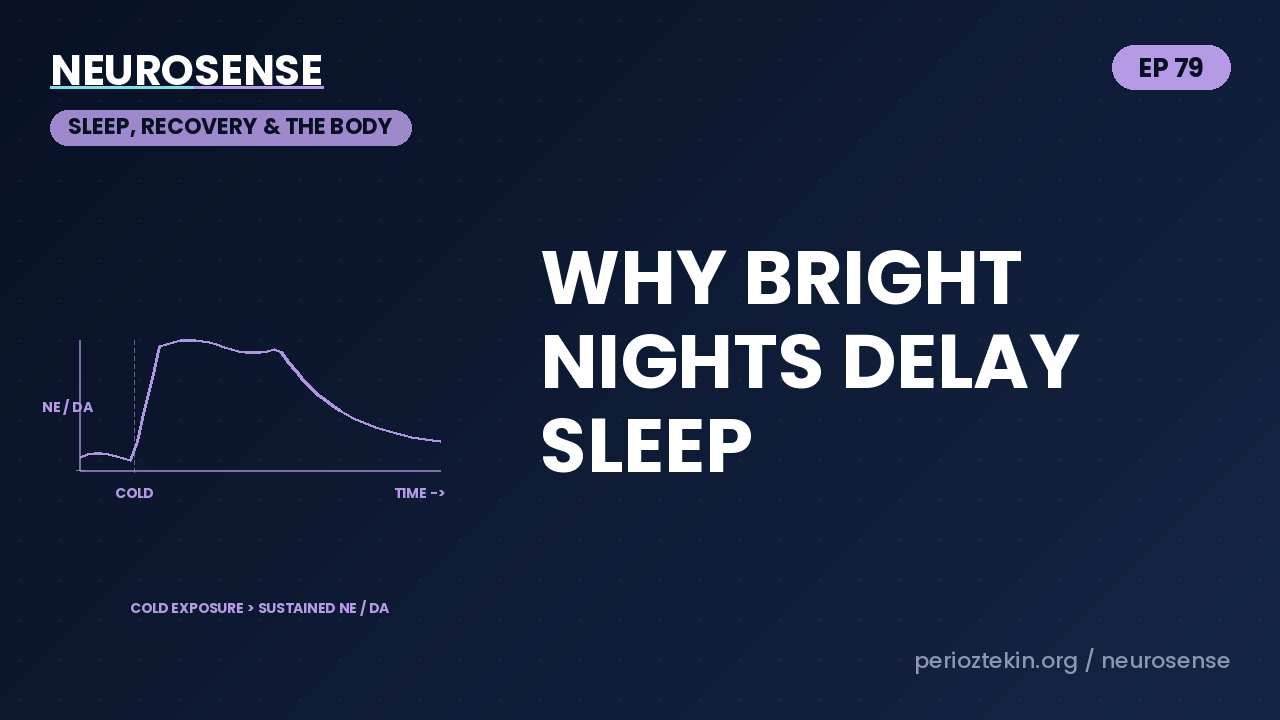 Why Bright Nights Delay Sleep
